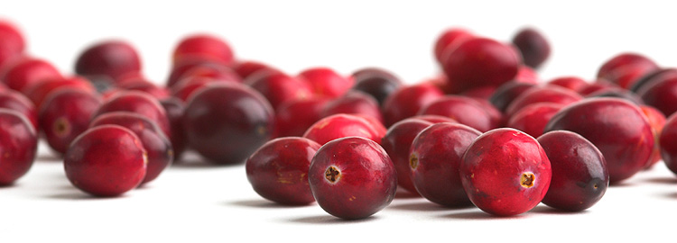 cranberry