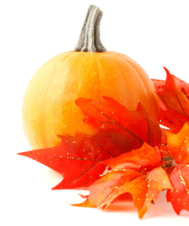 pumpkin